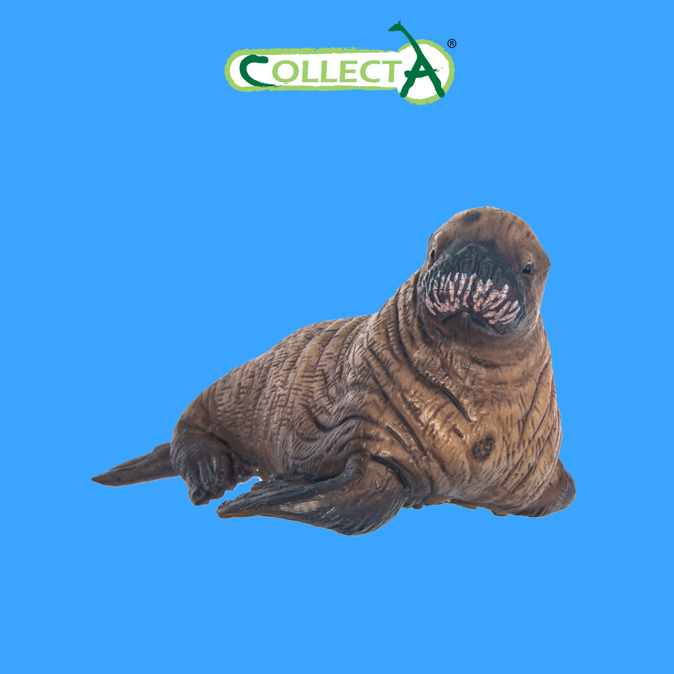 Фигурка Collecta Детёныш моржа - фото 1