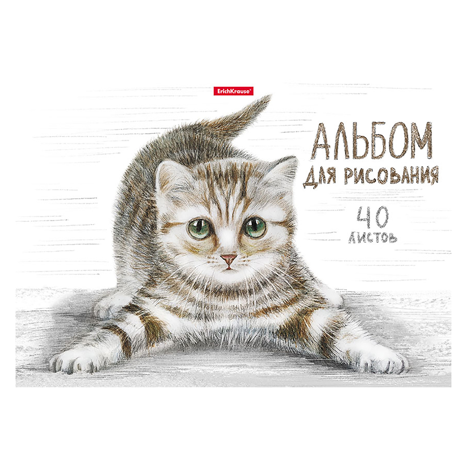 Альбом ErichKrause А4 40 лист. - фото 1