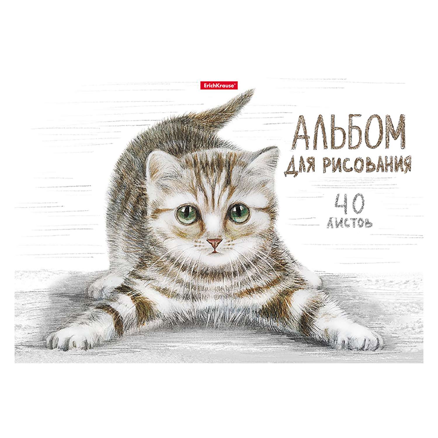 Альбом ErichKrause А4 40 лист. - фото 1