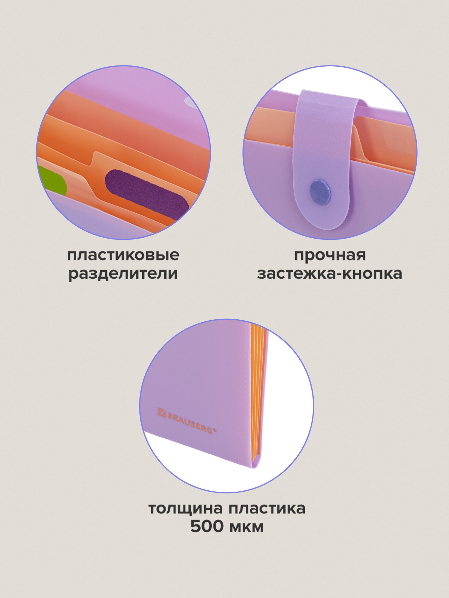 Папка-органайзер Brauberg А4 - фото 4