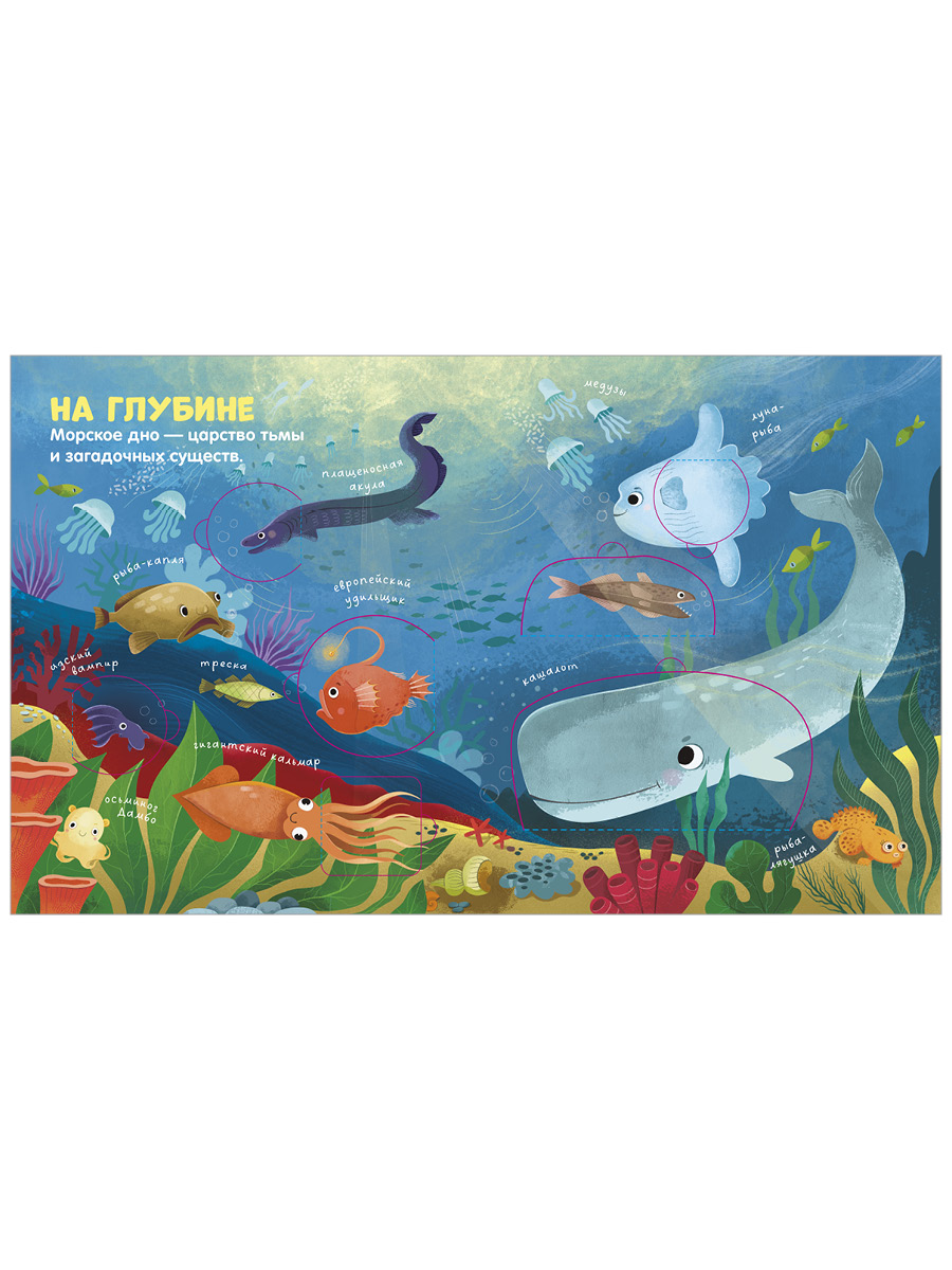 Книга Clever Океаны и моря - фото 5