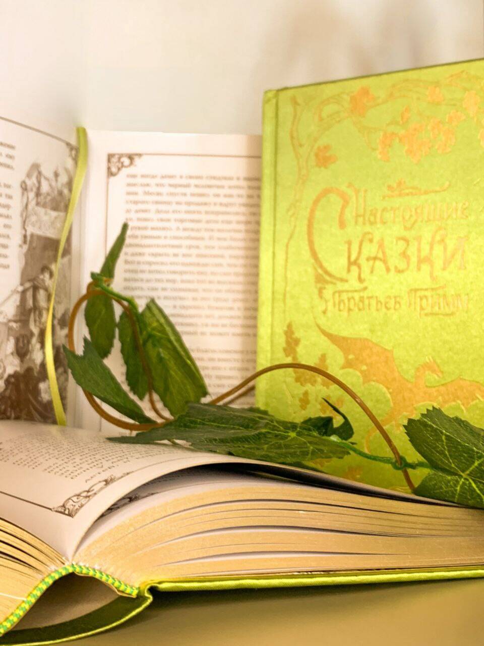 Книга Эксмо Настоящие сказки братьев Гримм шелковая коллекция - фото 6