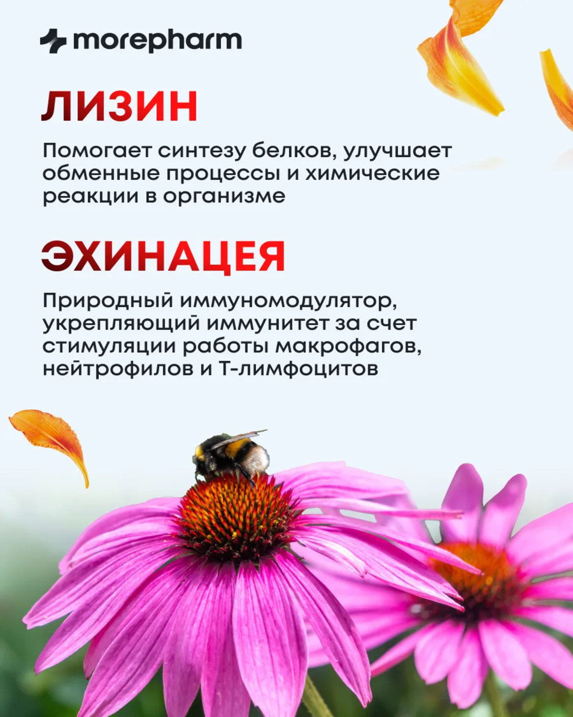 БАД morepharm Комплекс витаминов Д3 С селен цинк лизин эхинацея женьшень - фото 3