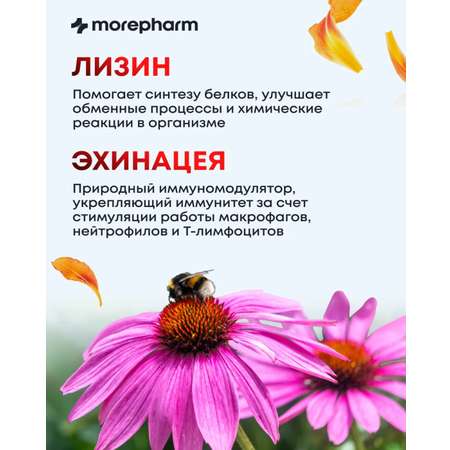 БАД morepharm Комплекс витаминов Д3 С селен цинк лизин эхинацея женьшень