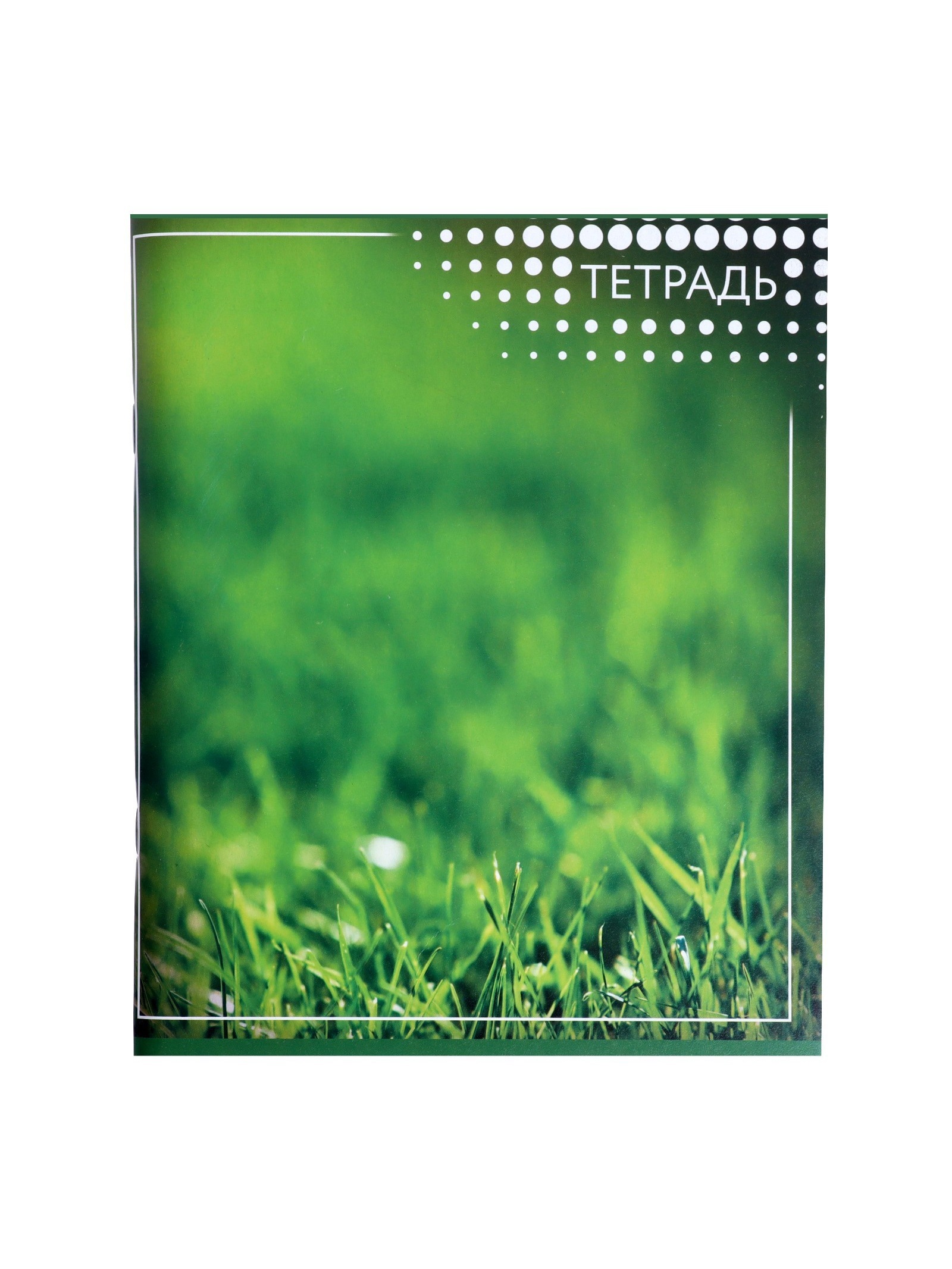 Тетрадь Calligrata клетка - фото 10
