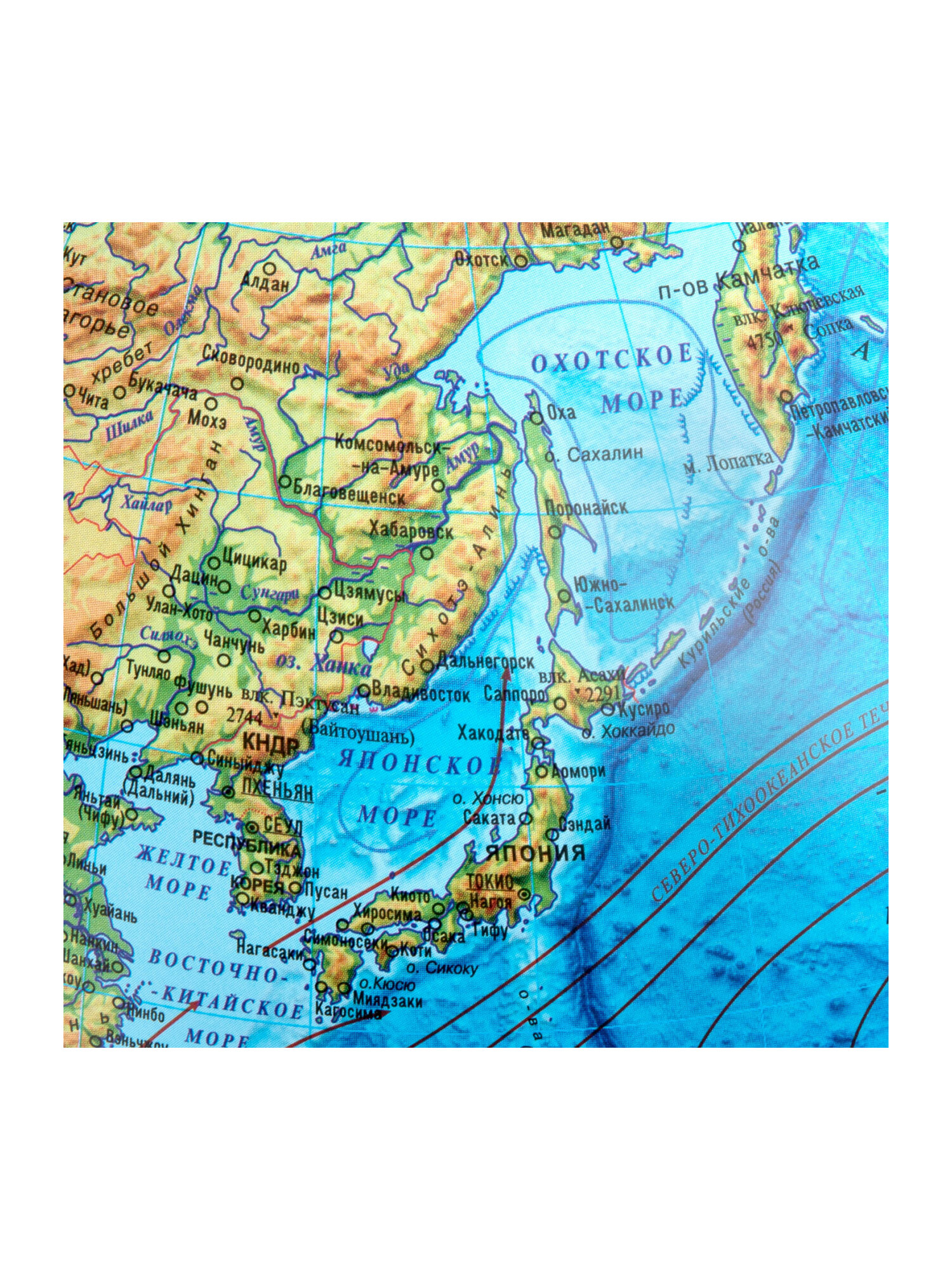 Глобус Globen физический с подсветкой диаметр 32 см - фото 17