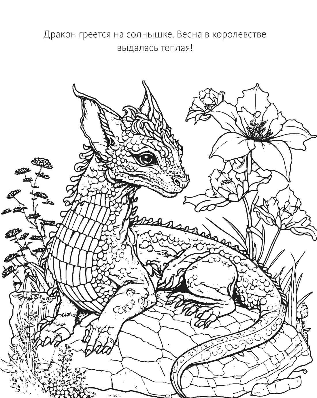 Книга Махаон Арт раскраска антистресс Бутикова М Романтика - фото 12