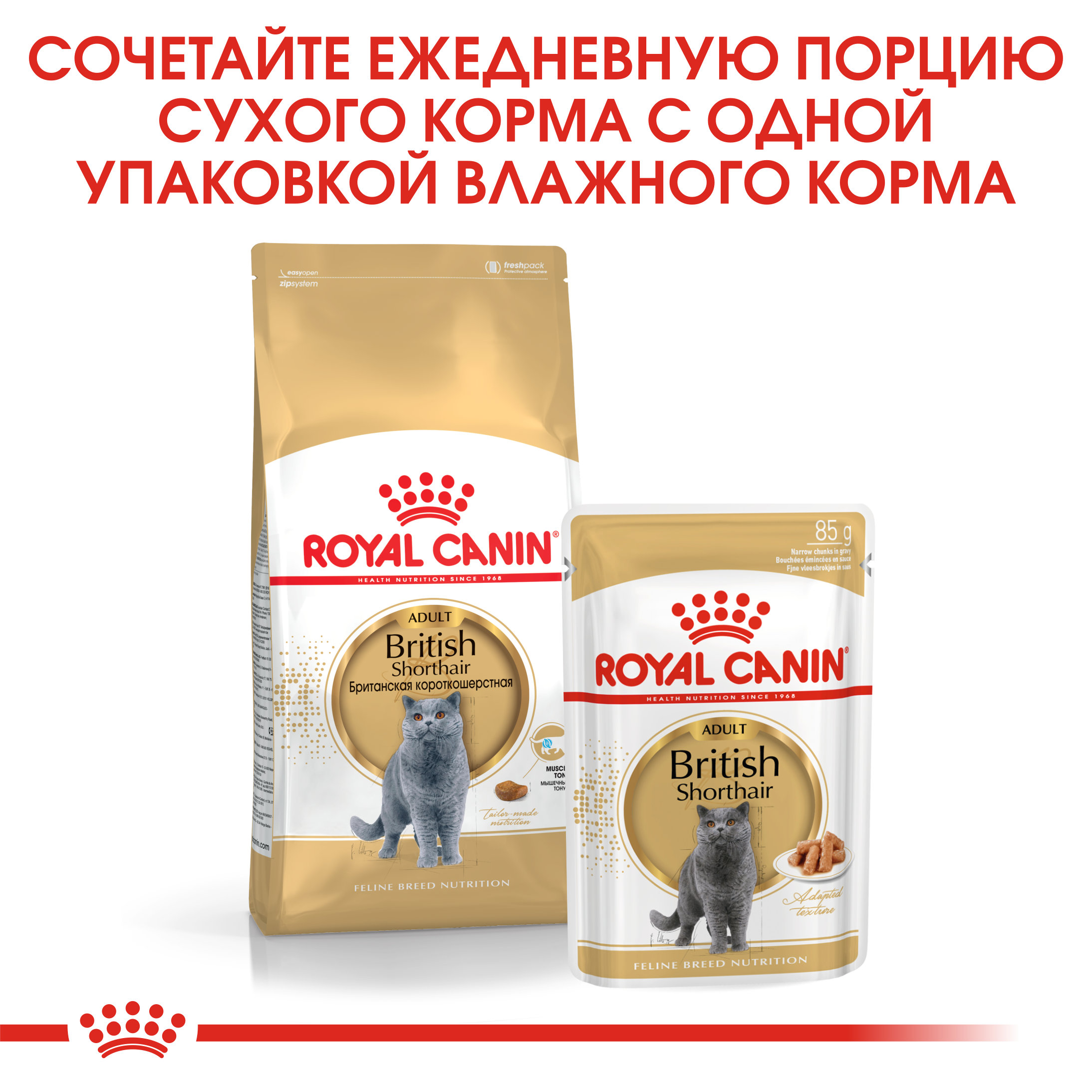 Корм влажный для кошек ROYAL CANIN British Shorthai 85г соус британской короткошерстной породы с 12месяцев - фото 5