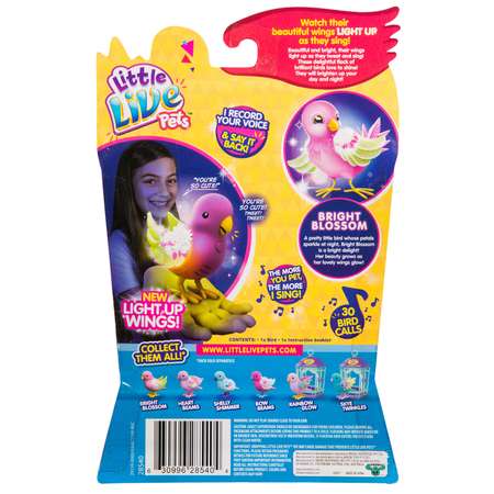 Игровой набор Little Live Pets