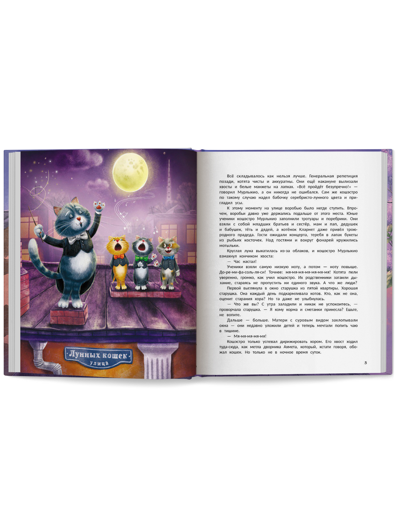 Книга Феникс Премьер Мяу Из Петербурга - фото 11