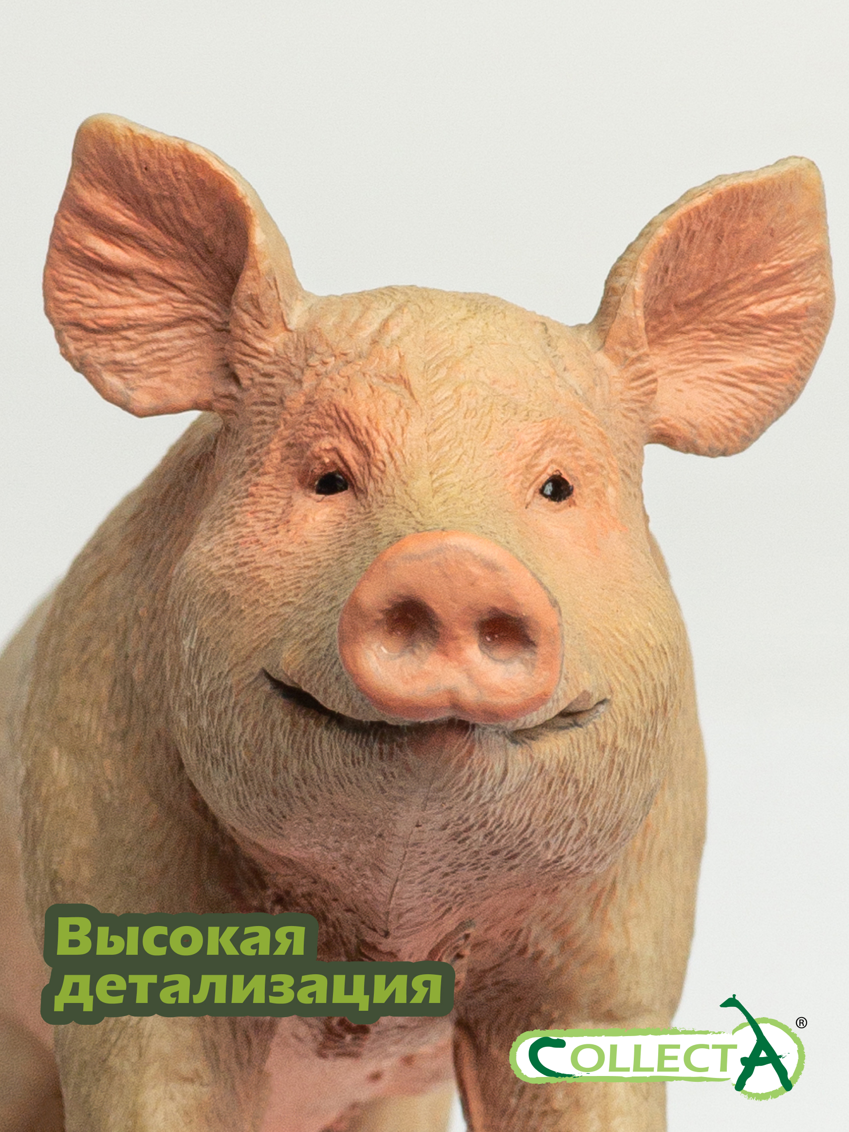 Фигурка Collecta Свинья - фото 3