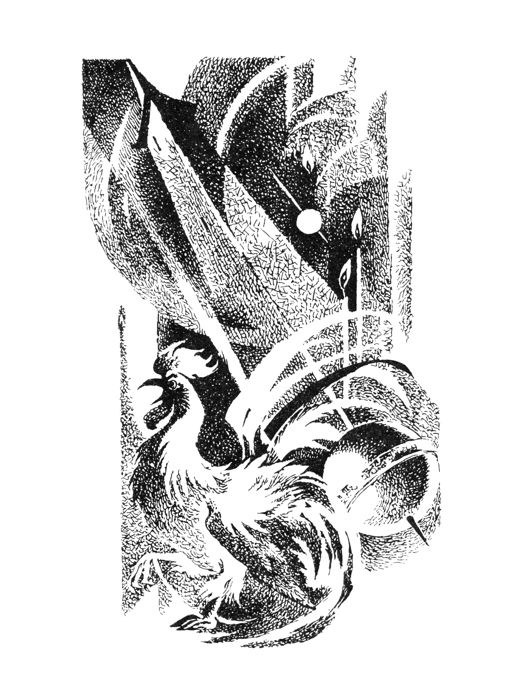 Книга Стрекозa Крик петуха - фото 5