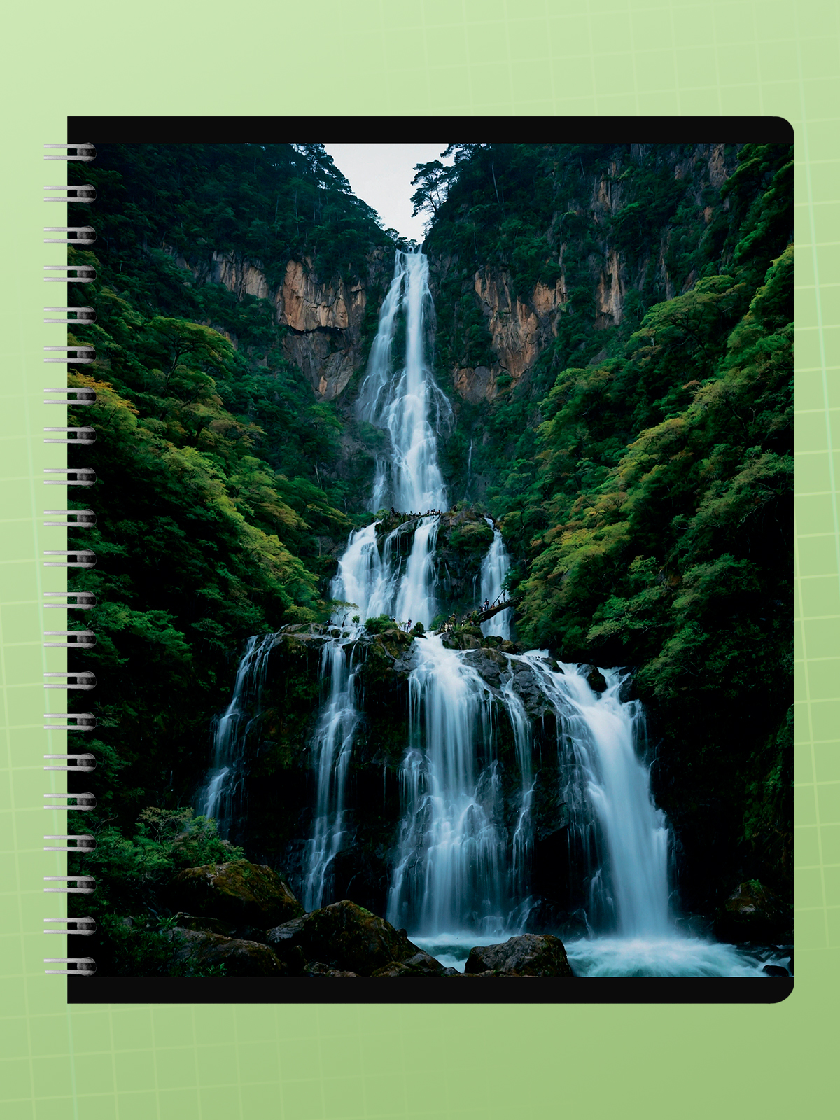 Тетрадь AXLER клетка 96 лист. 4 шт. - фото 7