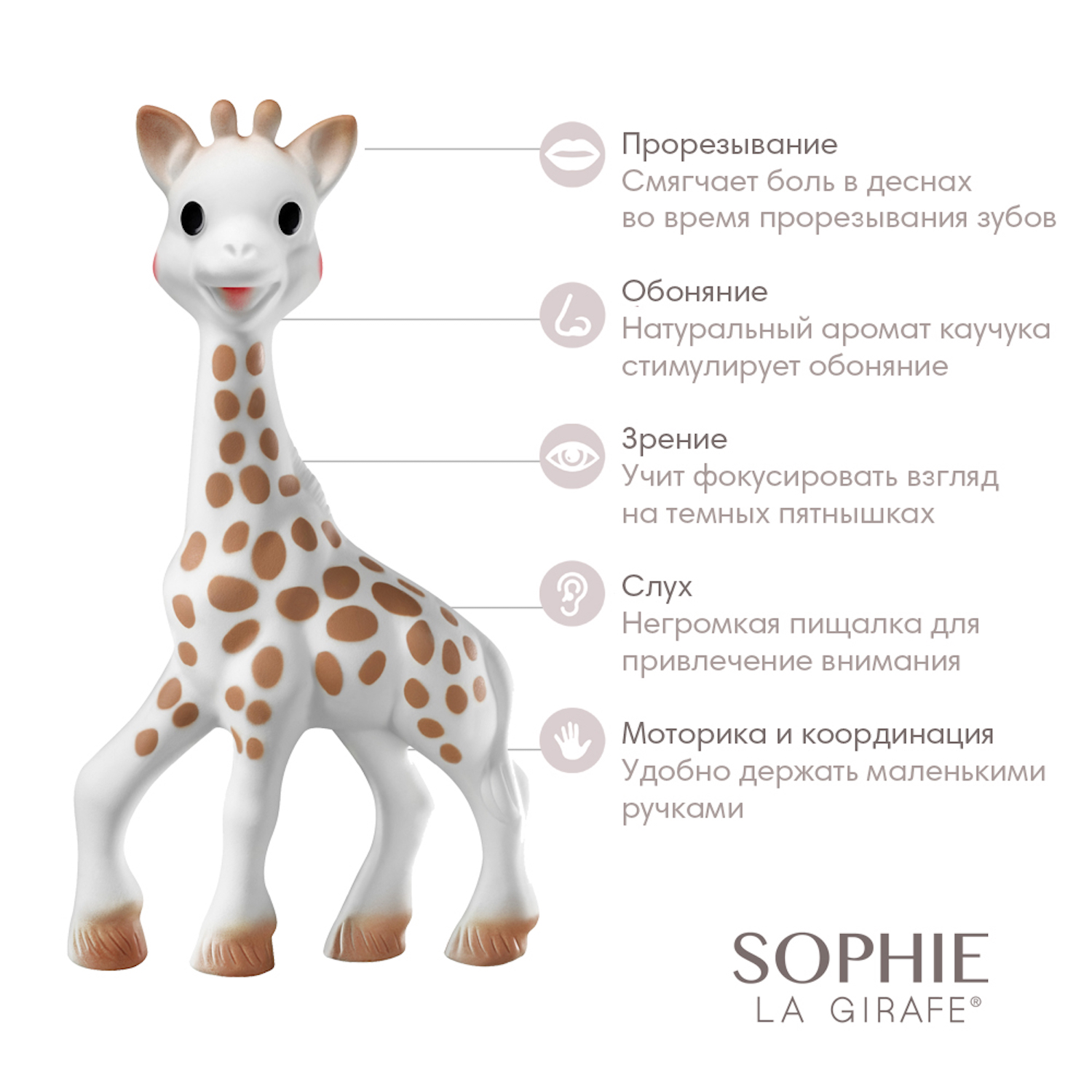 Игрушка Sophie la girafe - фото 2