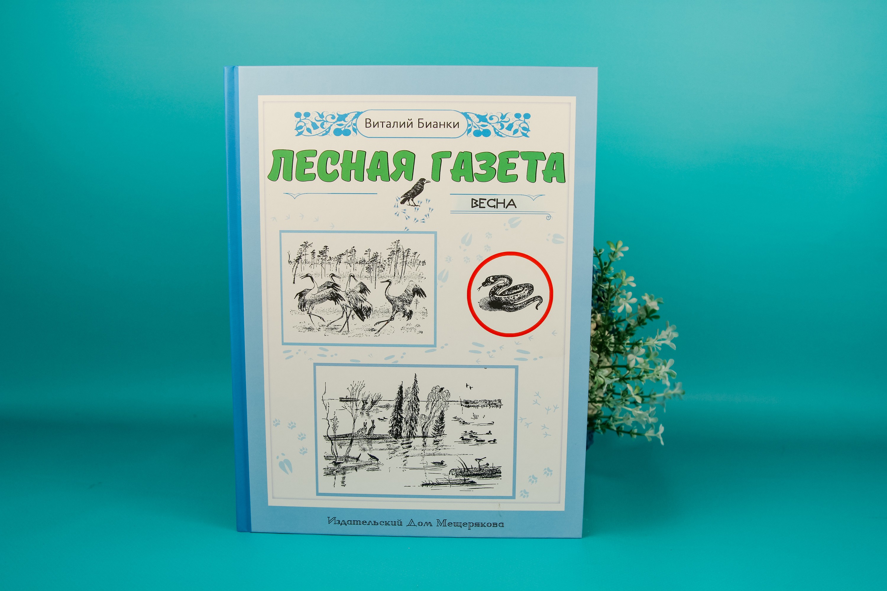 Книга ИД Мещерякова Лесная газета Весна - фото 2