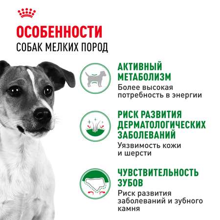 Корм для собак ROYAL CANIN мелких пород 2кг