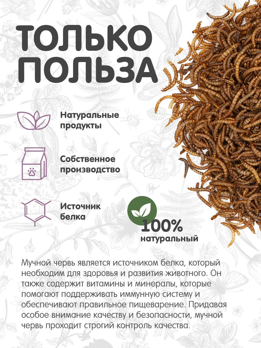Лакомство Для ваших питомцев С хвостиком Мучной червь - фото 2