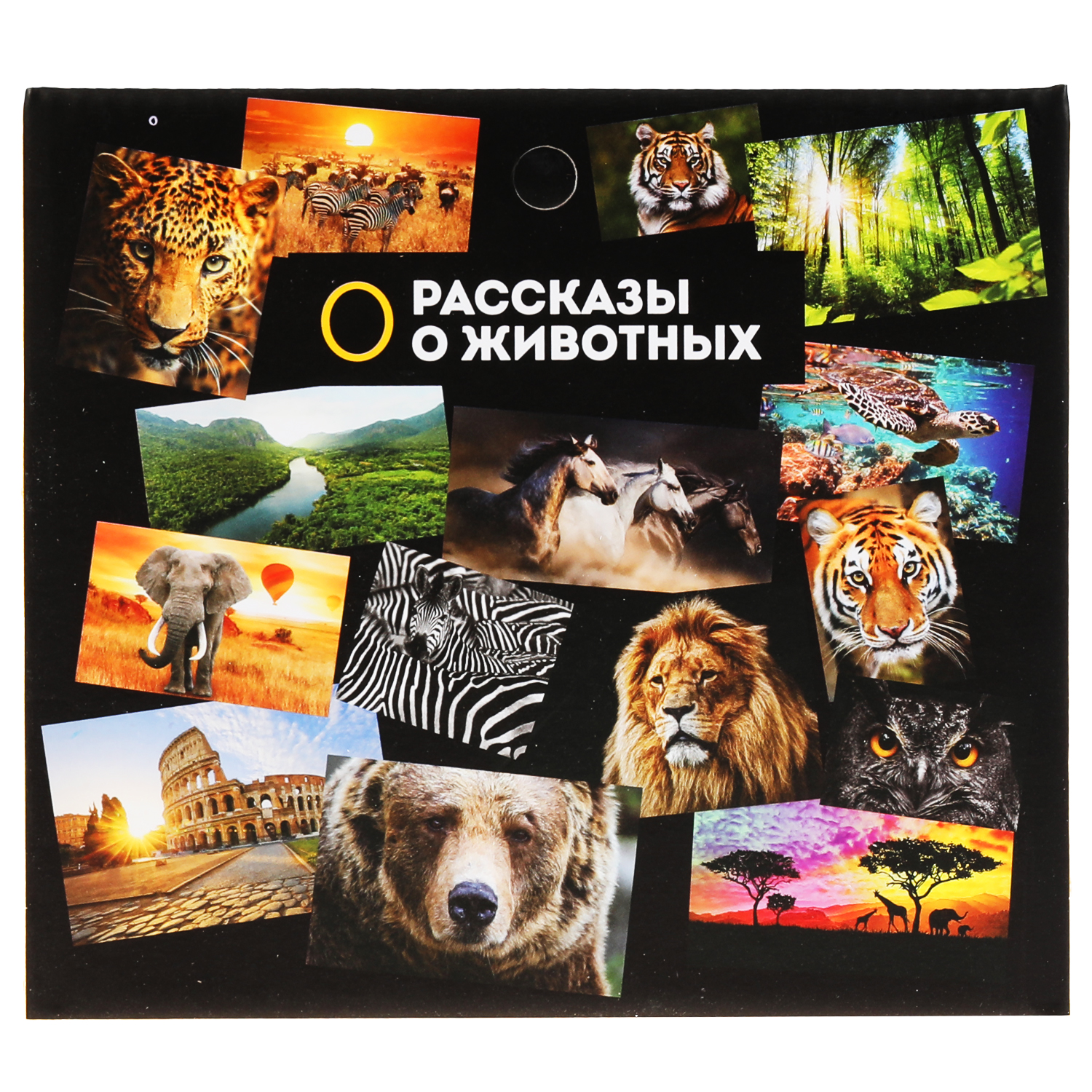 Игрушка Играем вместе - фото 7