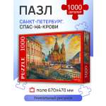 Пазл Рыжий кот 1000 Петербург. Спас-на-крови