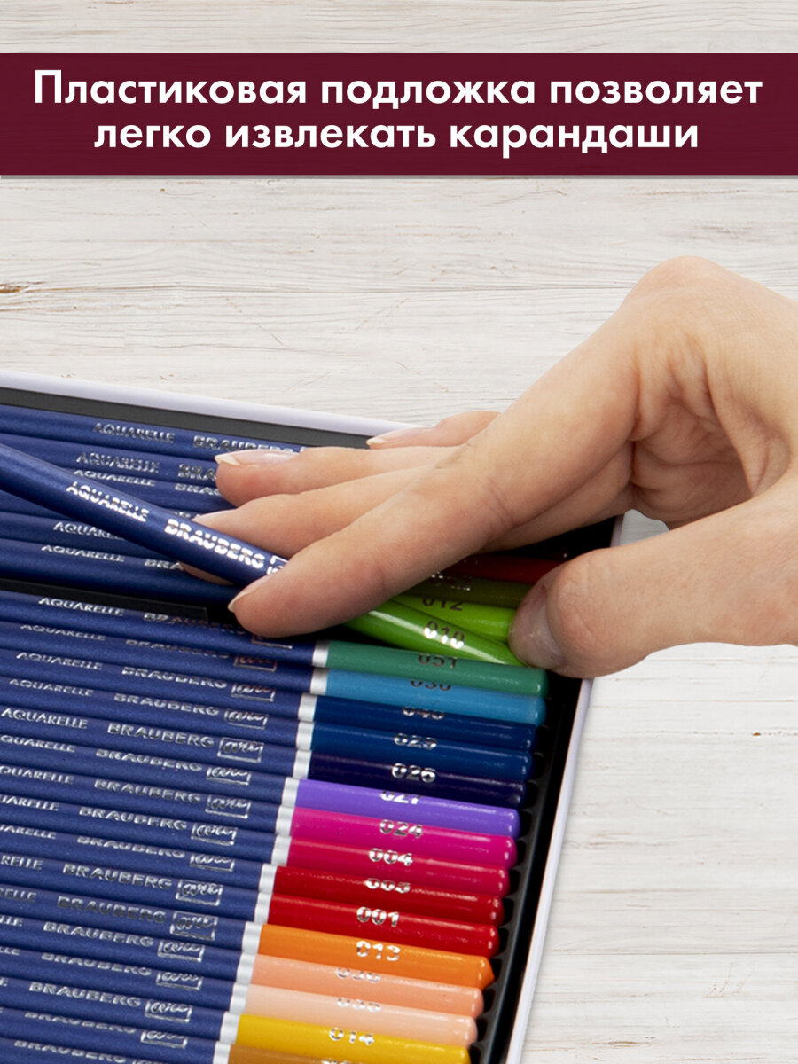 Карандаши акварельные Brauberg 48 шт. - фото 7