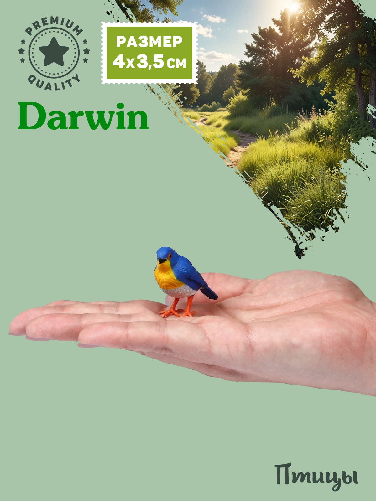 Фигурка DARWIN Птицы Малиновка - фото 2