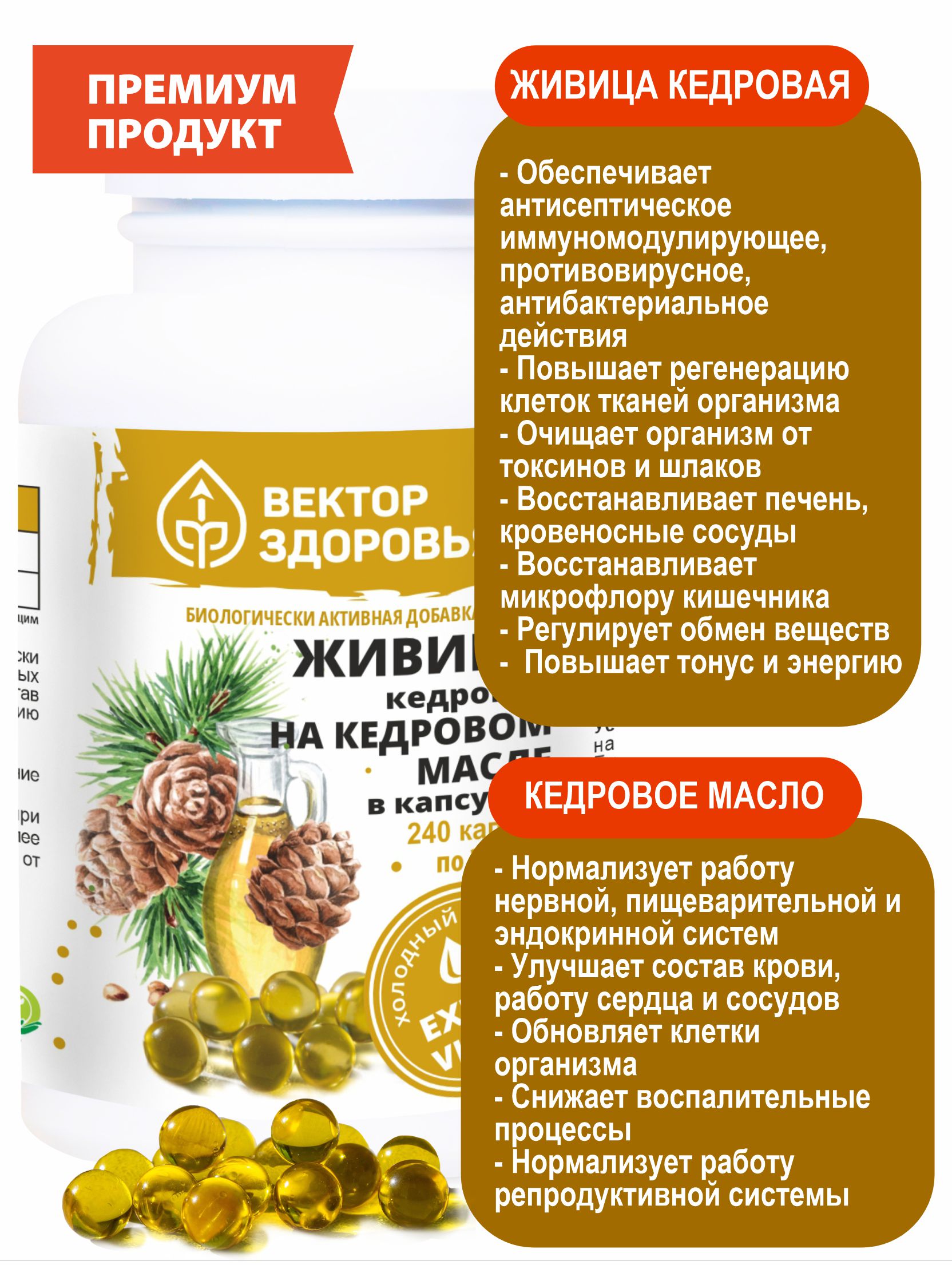 Растительные концентраты Алтайские традиции Живица кедровая на кедровом масле 240 капсул - фото 3