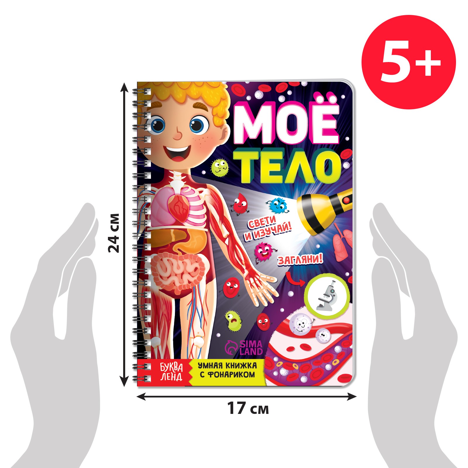 Умная книжка Буква-ленд с фонариком «Моё тело» Свети и изучай - фото 2