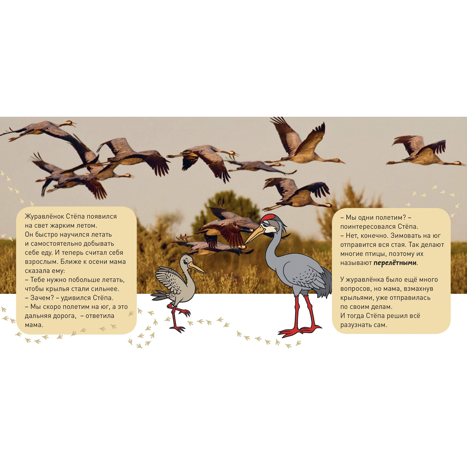 Книга ЭНАС-книга Кто как зимует? - фото 3