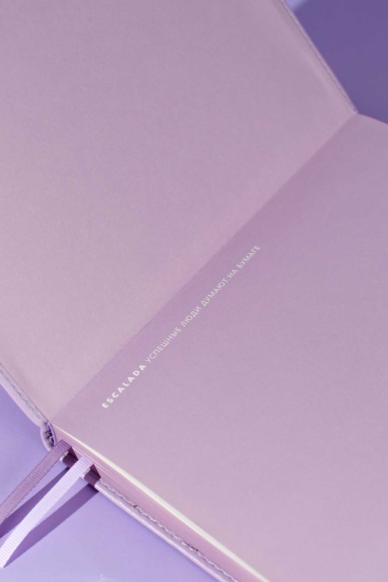 Ежедневник Феникс + ESCALADA 160 лист. - фото 10