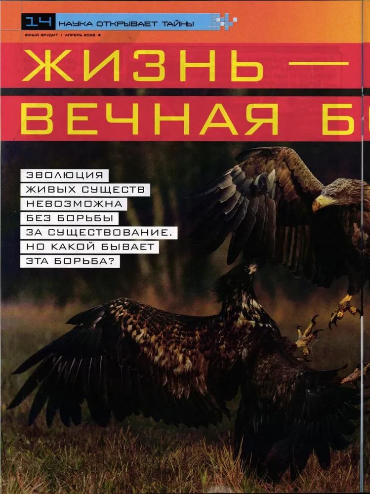 Набор детских журналов ИД Лев Юный Эрудит №3 и №4 2025г - фото 2