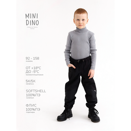 Брюки MINIDINO