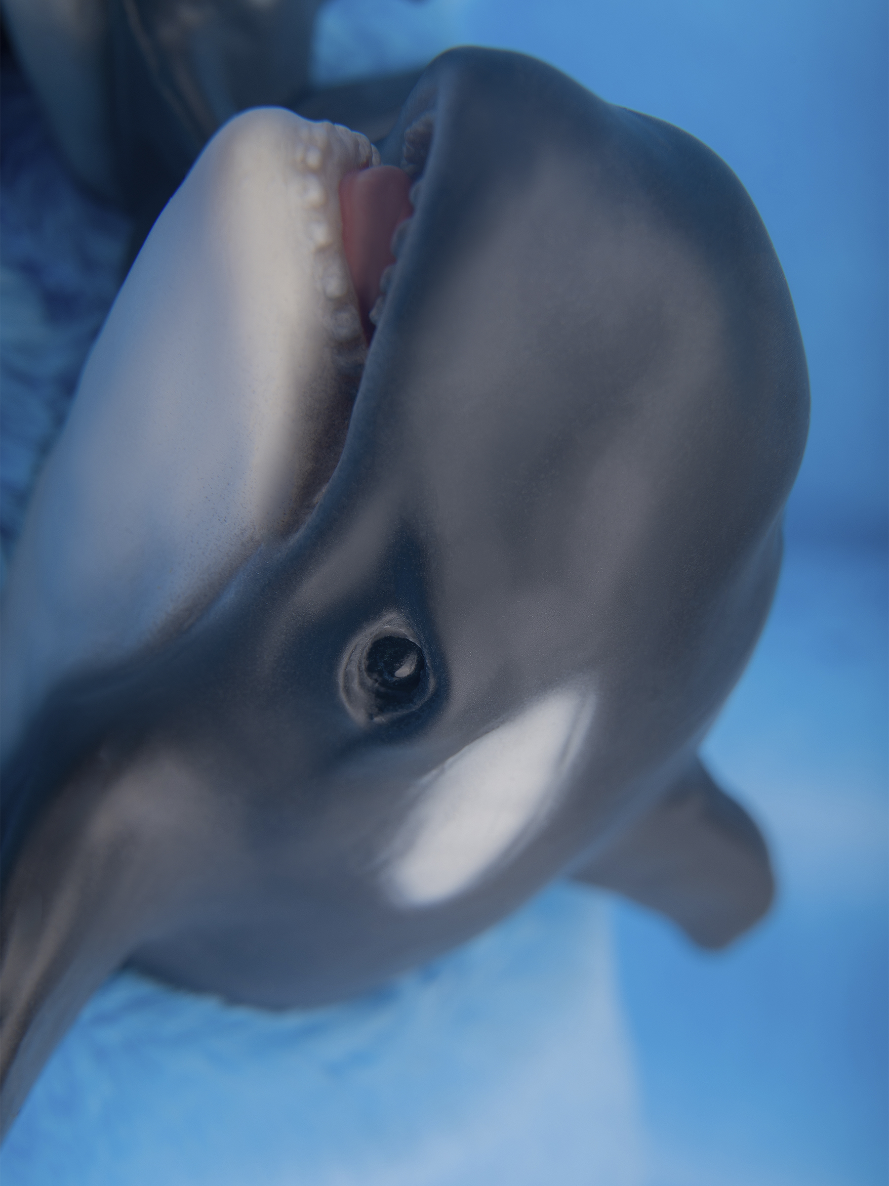 Кукла мини Magic Manufactory Magic Ocean Косатка высота 18 см 4631171558333 - фото 27