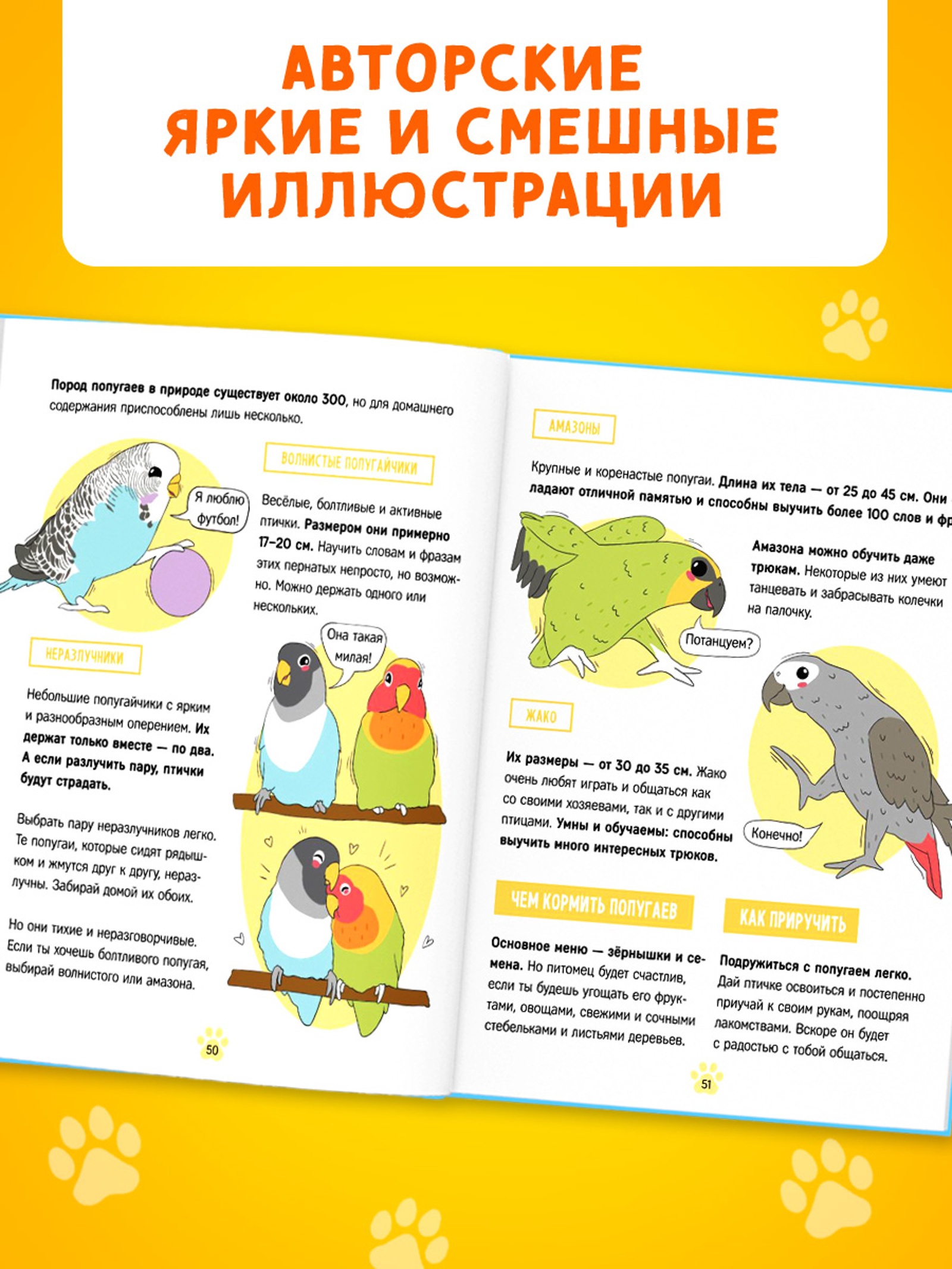 Энциклопедия Буква-ленд в твёрдом переплёте Домашние питомцы 72 стр - фото 6