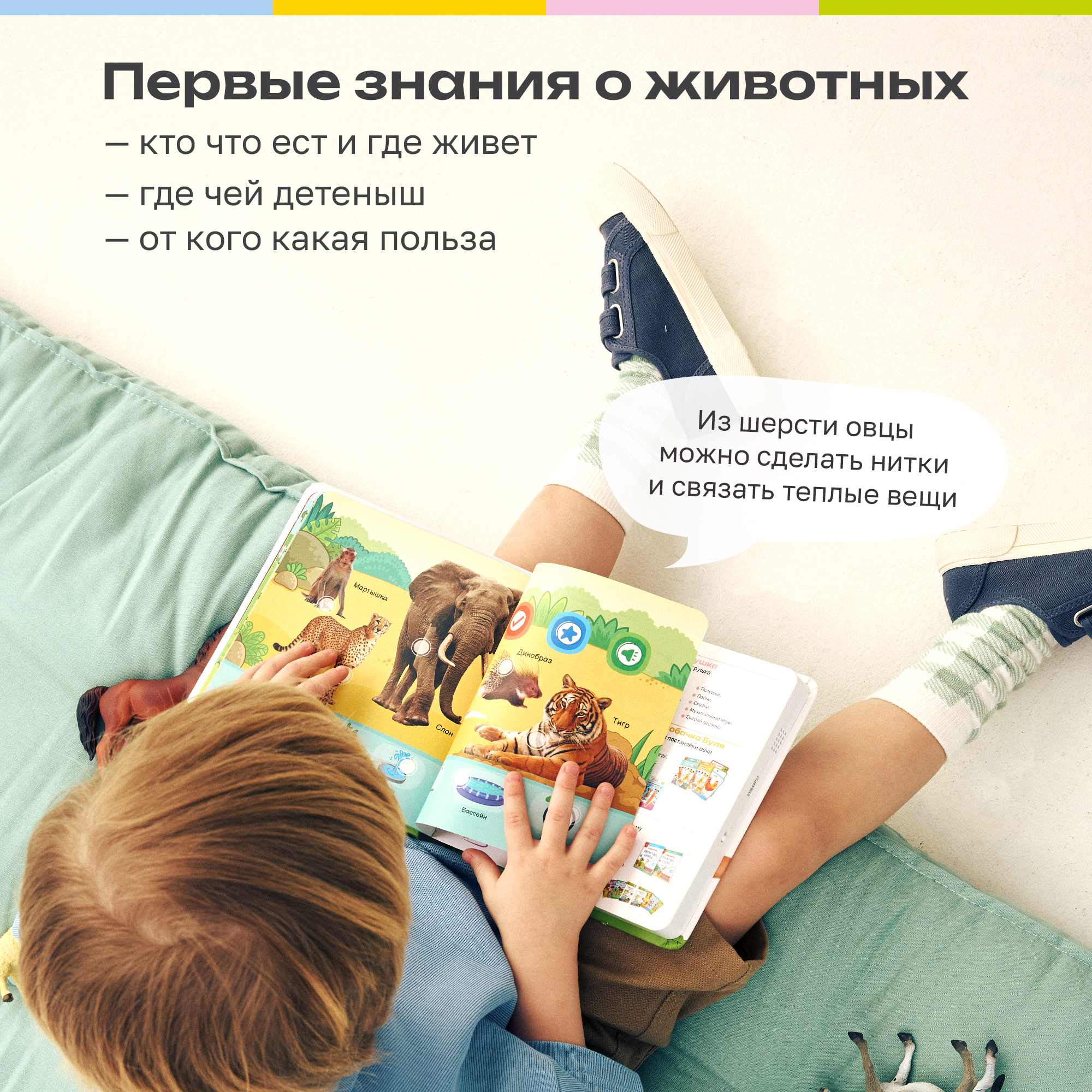 Книга нажималка говорящяя Всё о животных маленькая - фото 6