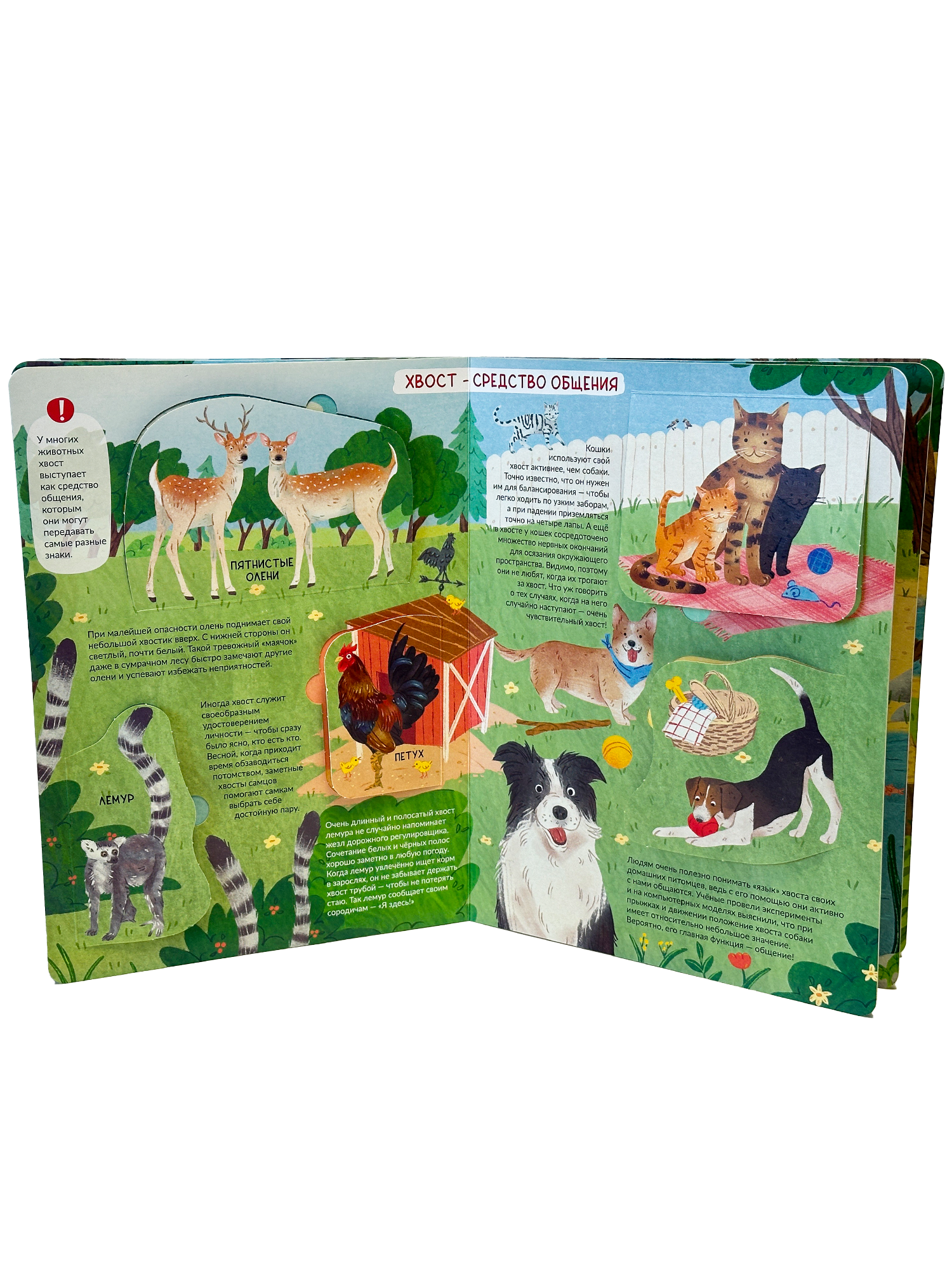 Энциклопедия с окошками БимБиМон Книга детская энциклопедия с окошками Виммельбух - фото 8