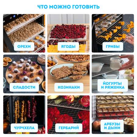 Сушилка для фруктов и овощей RAWMID Modern RMD-10 белый дегидратор