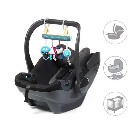 Игрушка Babyono подвеска