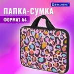 Папка для тетрадей Brauberg
