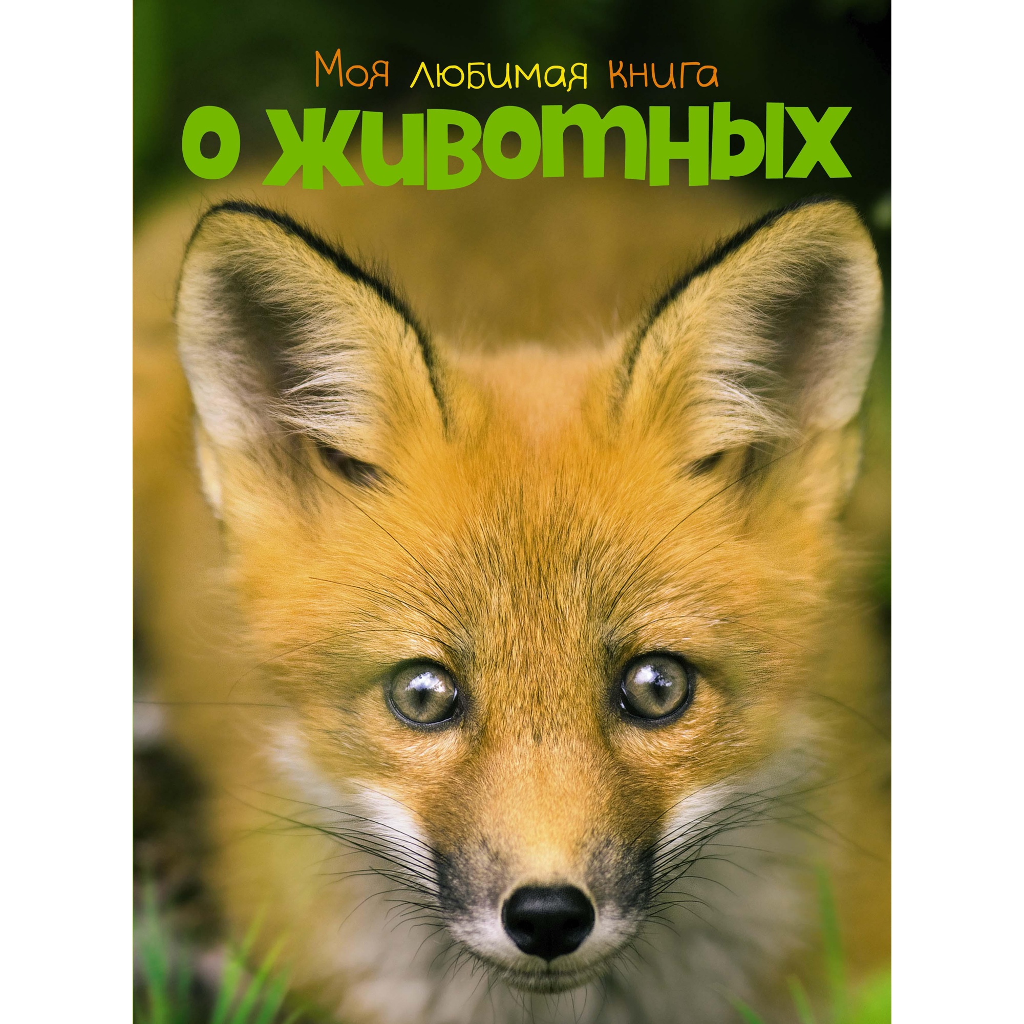 Книга МАХАОН Моя любимая книга о животных Куйе Н. - фото 1