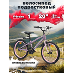 Двухколесный велосипед Veltory 20 дюймов
