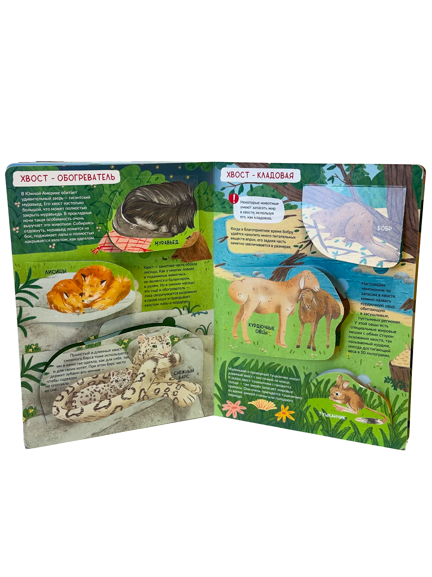 Энциклопедия с окошками БимБиМон Книга детская энциклопедия с окошками Виммельбух - фото 11