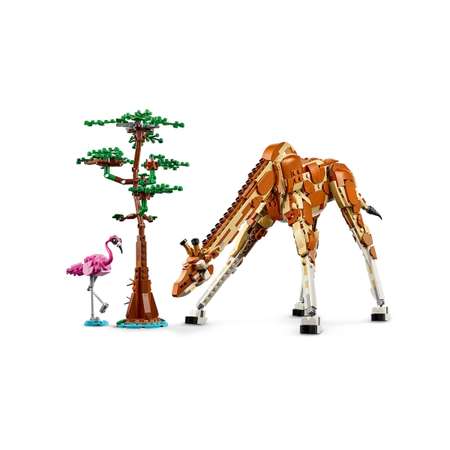 Конструктор LEGO Creator Дикие животные сафари блочный