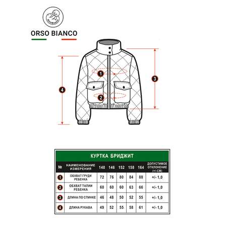 Куртка Orso Bianco