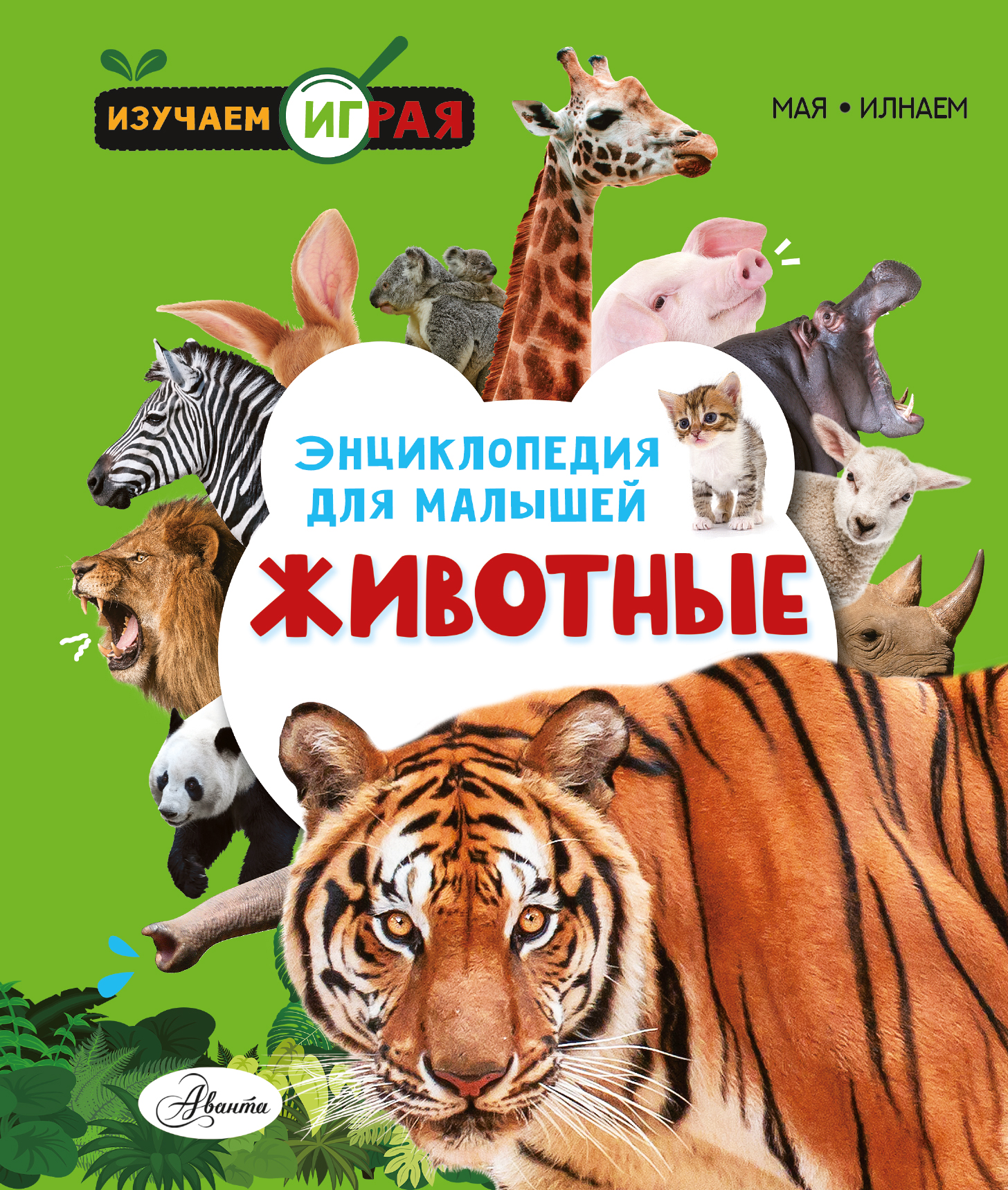 Энциклопедия для малышей АСТ Животные - фото 1