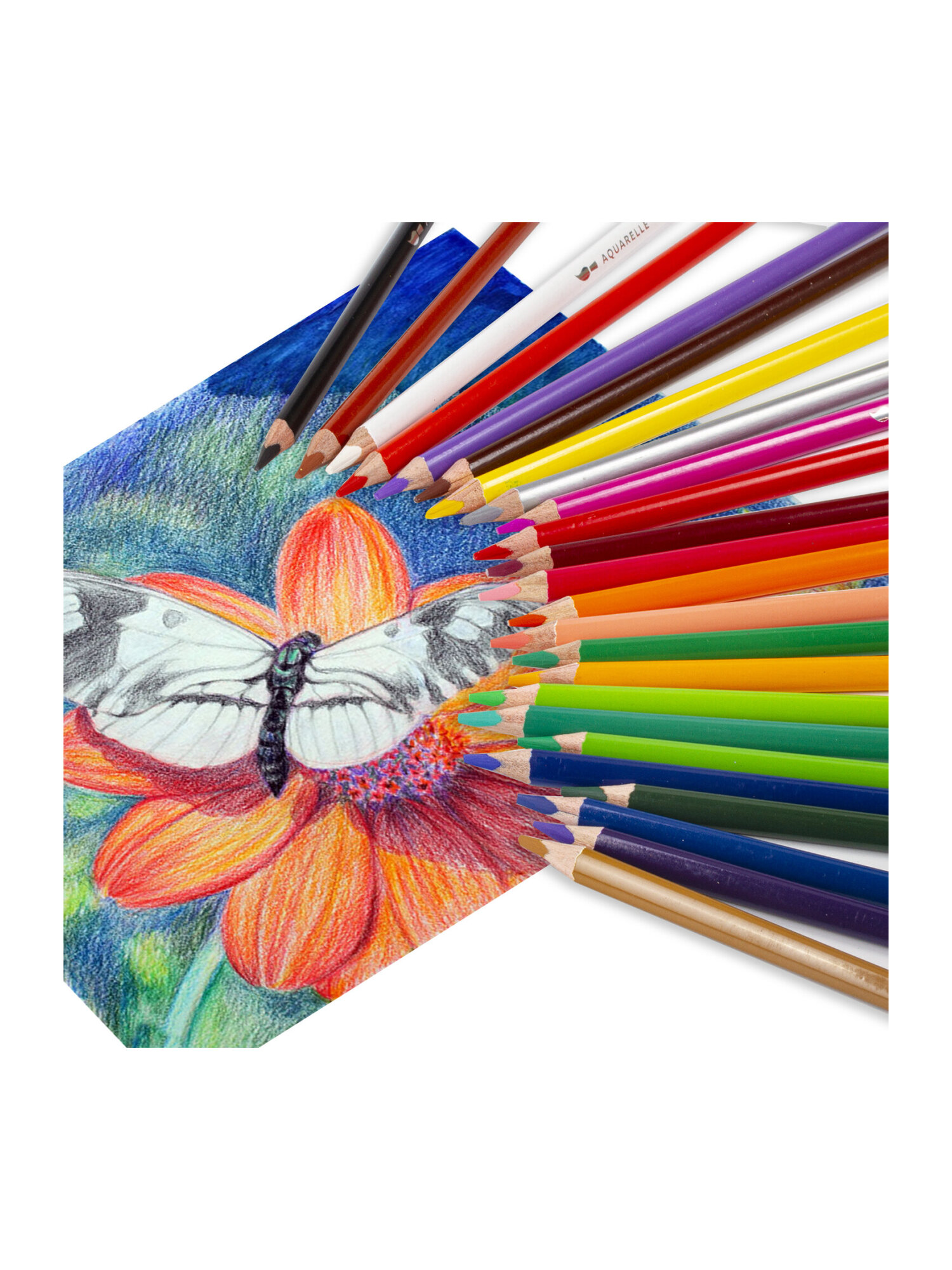 Карандаши акварельные Brauberg 24 шт. - фото 15