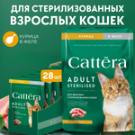 Корм влажный Cattera консервированный полнорационный