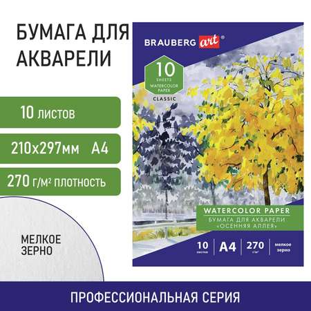 Художественная бумага Brauberg для акварели