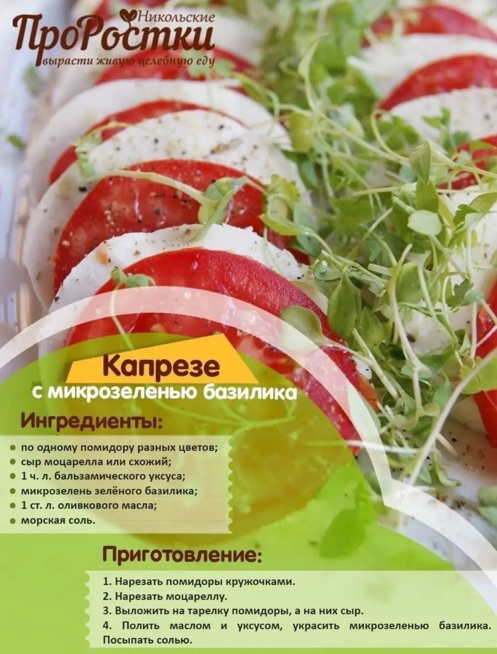 Семена для микрозелени MegaMedia базилик - фото 4