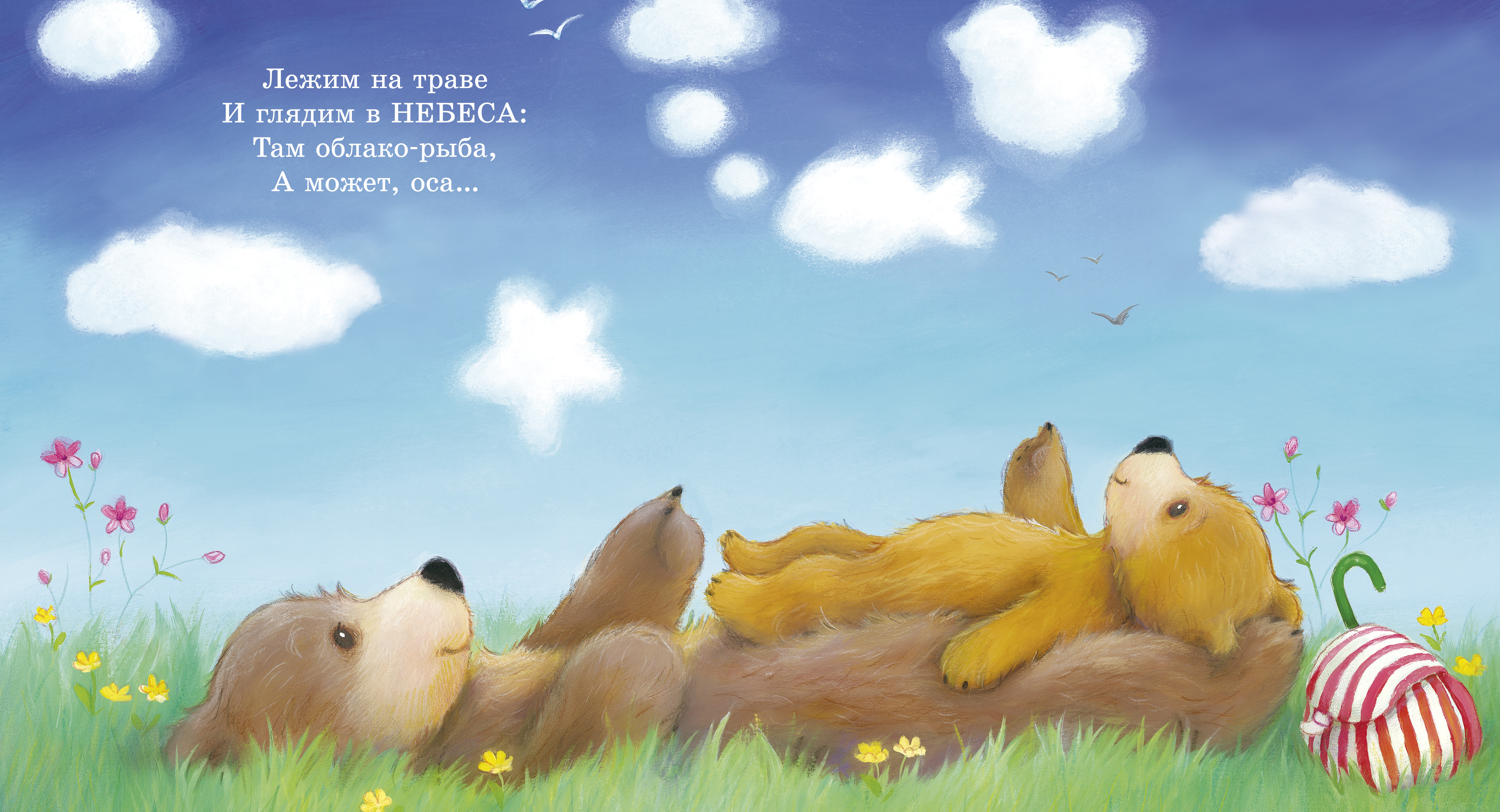 Книжки-картинки Clever Моя бабушка лучшая в мире/Риччи Э. - фото 3