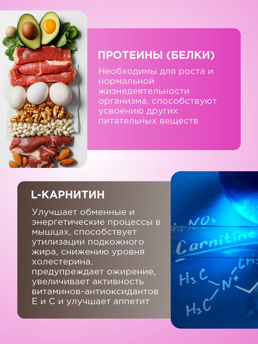 Полезное лакомство для собак GOODR DOG Здоровье и энергия 90 таблеток - фото 4